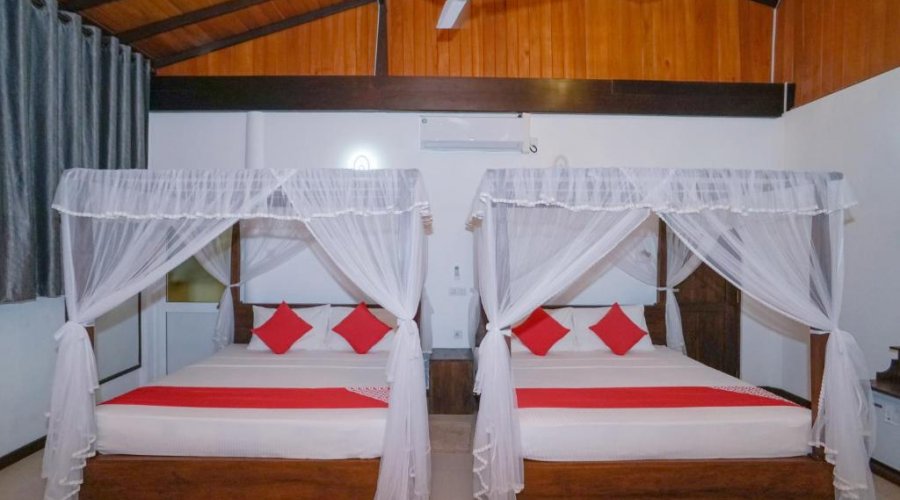 Deluxe King Suite 