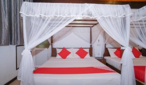 Deluxe King Suite 